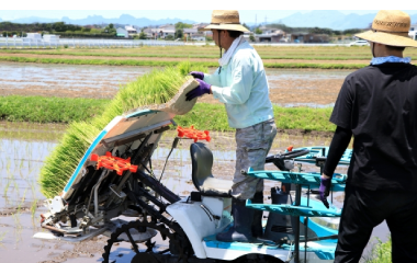 各種農作業請負画像